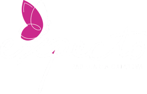 Expecto Papelaria Criativa
