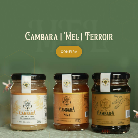 Carrossel 1