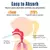 Conheça o Nebulizador Portátil: Prático, silencioso e eficaz para alívio rápido de problemas respiratórios em qualquer lugar! - loja online