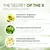 Sabonete facial chá verde - Conheça o Sabonete Facial Chá Verde: Limpa suavemente, controla a oleosidade e protege a pele com ação antioxidante! - Bem Cuidar