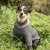 Buzo Oversize - Perros + 2 patch de regalo en internet