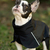 Impermeable con Cuello - comprar online