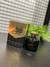 Perfume Sultan AL LAIL - comprar online