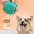 Viral Esponja De Silicone Para Banho Com Dispensador Shampoo Sabonete Escova PET na internet