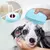 Viral Esponja De Silicone Para Banho Com Dispensador Shampoo Sabonete Escova PET