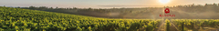 Banner de la categoría Rufino