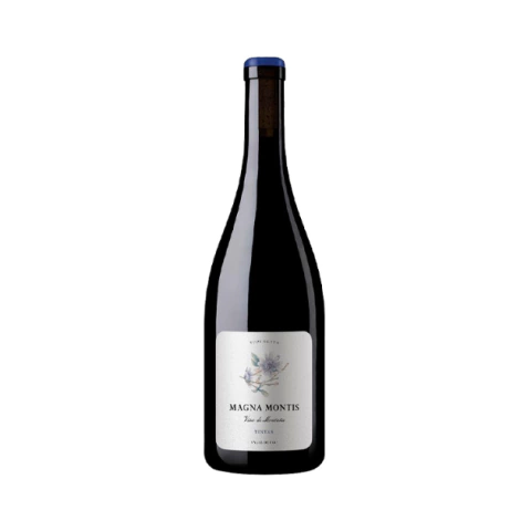 Magna Montis Regional Tintas 2020