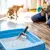 Pá Mágica Pet – Limpeza Fácil e Rápida da Areia do Seu Gato! - loja online