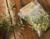 CEDRON AGROECOLOGICO - comprar online