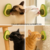 Imagem do Abacate de Brinquedo com Erva Natural para Gatos