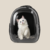 Mochila Pet com Visão Panorâmica na internet
