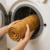 Imagem do Tapete Antiderrapante Ultra Macio