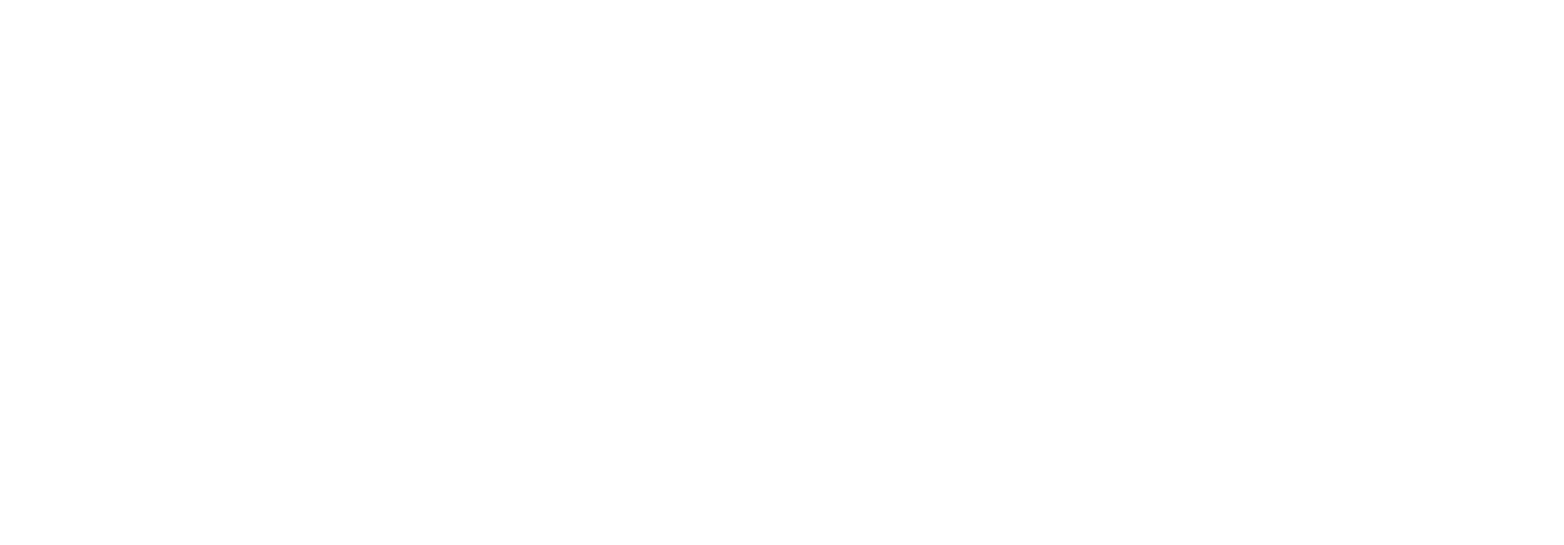 BRAZBAG