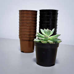 50 Mini Vasos Plásticos para Cactos e Suculentas – 6x5cm