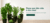 Imagem do banner rotativo Jardim em Casa