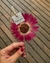 Gérbera Rosa