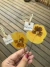 Amor perfeito amarelo