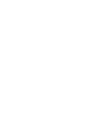GRUPO VIZCARRA