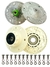 KIT RODAMIENTOS Y BRIDAS DREAN GOLD + TORNILLOS