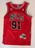Musculosa Basquet Chicago Bulls