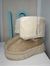 Pantubota clarita - LG
