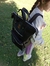 Mochila boca de pez negra - Trini Store
