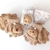 Guantes Capibara
