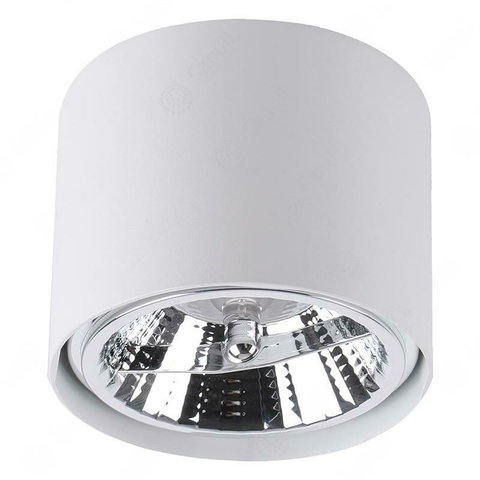 Aplique techo monovolumen circular Para Ar111 Asin - BLANCO - comprar online