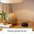 BOCINA INTELIGENTE ALEXA en internet