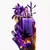 Perfume Alien EDP - Mugler - loja online