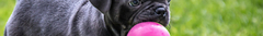 Banner da categoria BRINQUEDOS