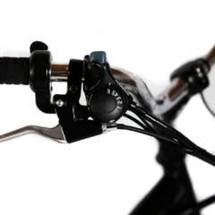 Bicicleta Eléctrica TIMBÓ en internet