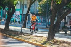 Imagen de Dispositivo Electrónico GE ROAD