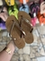 Havaiana inspiração farm
