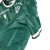 Camisa Santiago Wanderers I 23/24 - Torcedor Macron Masculina - Verde com detalhes em branco