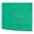 Image of Camisa Palmeiras Treino 25/26 - Torcedor Puma Feminina - Verde