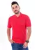 Imagem do Kit 3 Camisa Polo Masculina Iguana Original Promoção