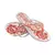 Chinelo Confortous Moda Praia na internet