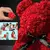 Imagem do Nova flor artificial eterna rosa urso de pelúcia para a mãe dia das mães aniv