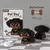 Pequeno Pet Building Block na internet