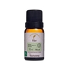 Blend de Óleos Essenciais Foco Via Aroma - 10ml - comprar online