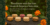 Imagem do banner rotativo Território Zen