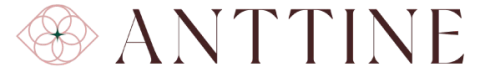 Anttine Store