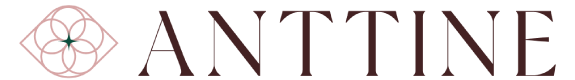 Anttine Store