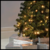 Luces Navidad Bolita 100 Led Cálida Decoración Arbolito 8mts - comprar online