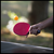 Pelotas De Ping Pong X12 Unidades Pelotitas Mesa Juego Pvc en internet