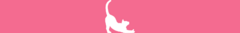 Banner da categoria Gatos