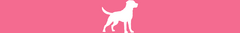 Banner da categoria Cães