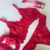 Conjunto Lingerie Sexy Night com Persex Vermelho na internet