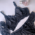 Conjunto Lingerie Sexy Night com Persex Preto na internet